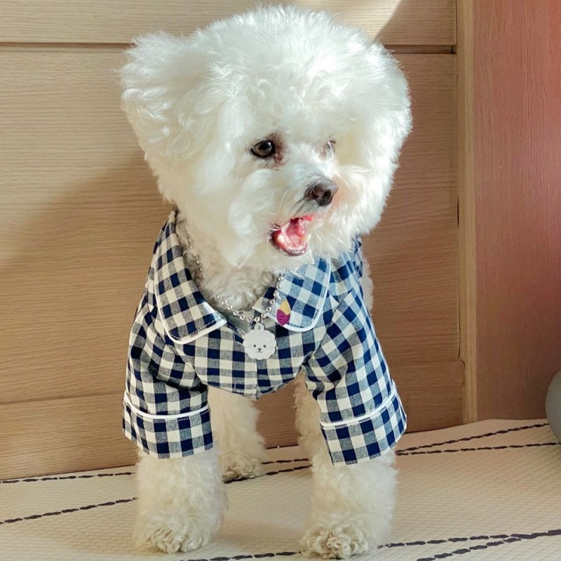 Leuke geruite hondenshirt zome - Summer Dog Clothing recensie en prijs