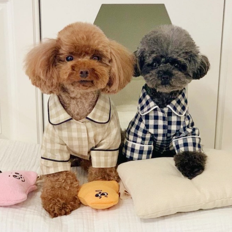Leuke geruite hondenshirt zome - Summer Dog Clothing recensie en prijs