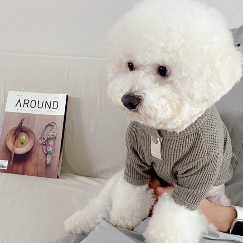 Zomer huisdier shirt effen hon - Summer Dog Clothing recensie en prijs